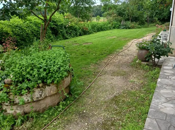 فيلة Chateau Colette